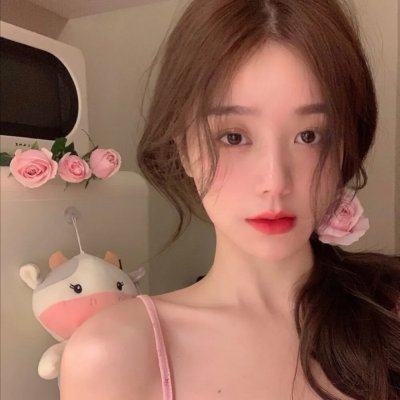 特禽鲨龙